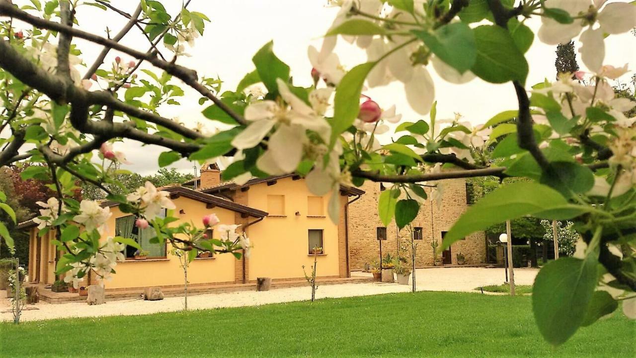 Agriturismo Il Podere Hotel Petrignano Exterior photo
