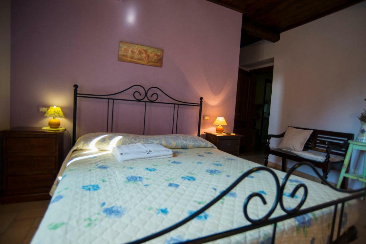Agriturismo Il Podere Hotel Petrignano Exterior photo